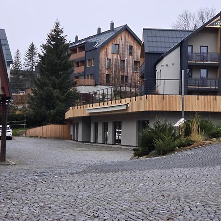 Apartmany Jarmilka S Privatnim Wellness Бедржихов Екстер'єр фото